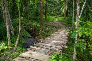 BIB: 
                            <button type="button" onclick="openModal(21893047)" class="btn btn-primary btn-sm float-right btn-popup" data-toggle="modal" data-target=".modal-high-quality">
                        <i class="fas fa-shopping-cart"></i> Add to Cart
                    </button>
                                            <button type="button" onclick="isThisMe(21893047, true)" class="btn btn-success btn-sm float-right btn-popup btn-isme hidden" data-toggle="tooltip" data-placement="bottom" title="นี่คือรูปของคุณใช่ไหม คลิกที่นี่เพื่อเอาเข้าอัลบั้ม">
                        <i class="fas fa-plus"></i> Add to album
                    </button>
                    <button type="button" onclick="isThisMe(21893047, false)" class="btn btn-warning btn-sm float-right btn-popup btn-isnotme hidden">
                        <i class="fas fa-ban"></i> Remove from album
                    </button>